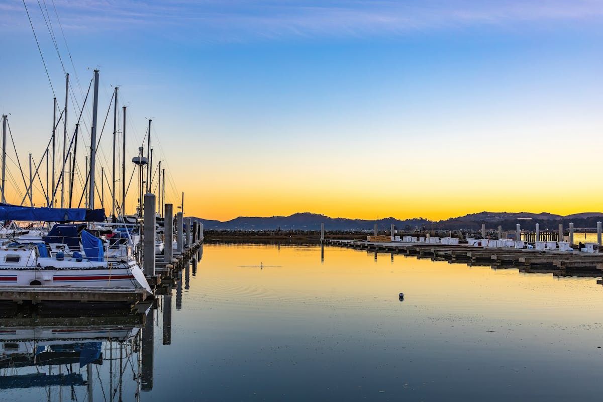 Sailboats moored in a marina at sunset