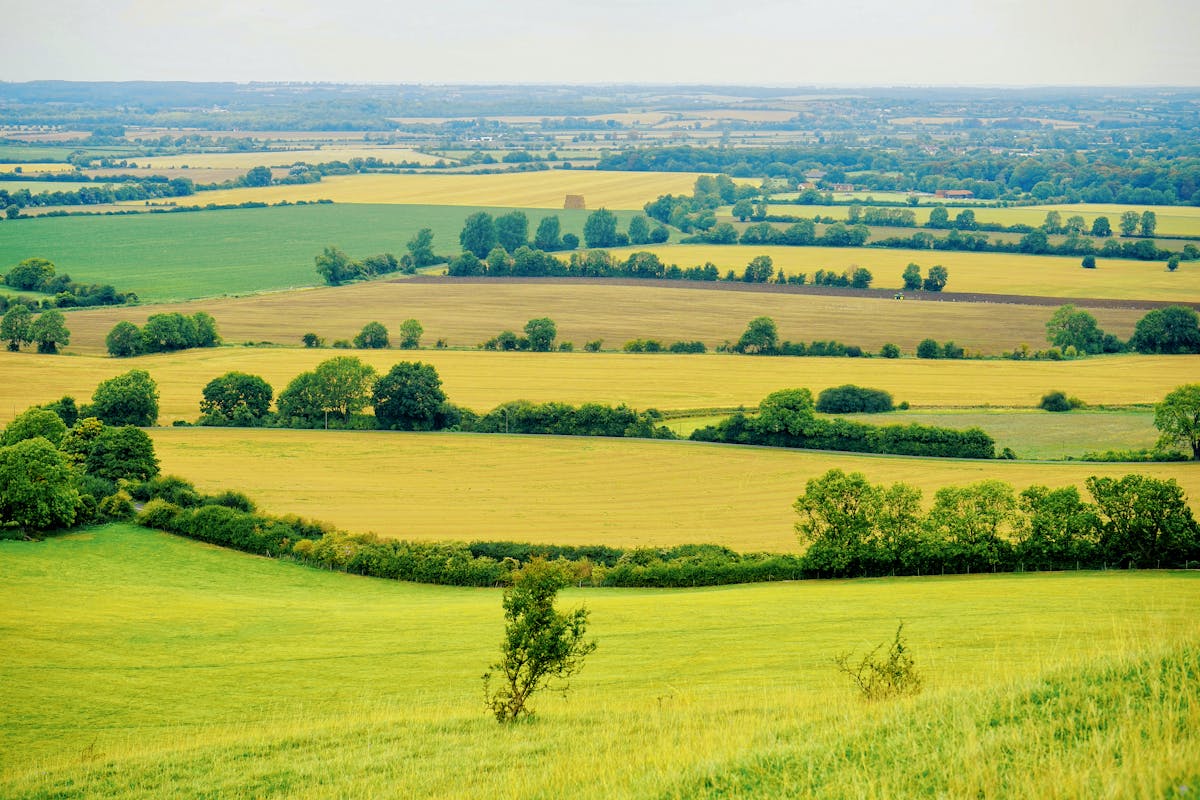Green patchwork fields of the English countryside