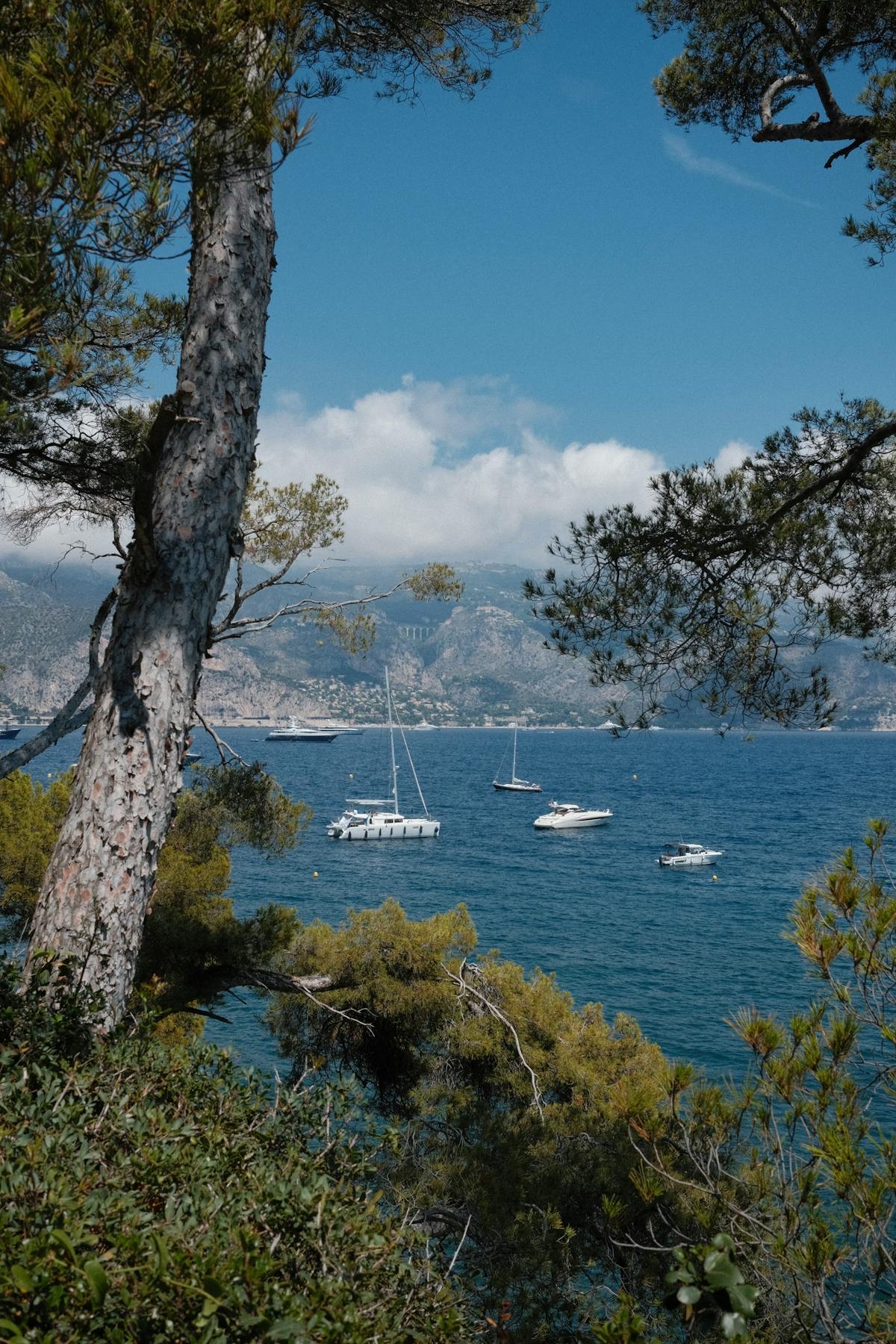 Yacht anchored in a quiet bay surrounded by green hills