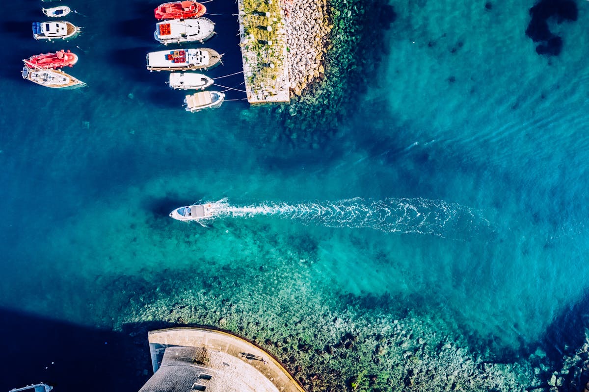 Catamaran and monohull boats at a marina
