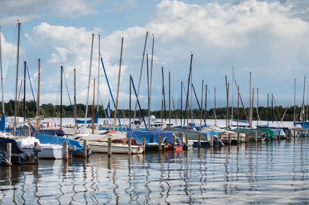 Yachts moored in a marina