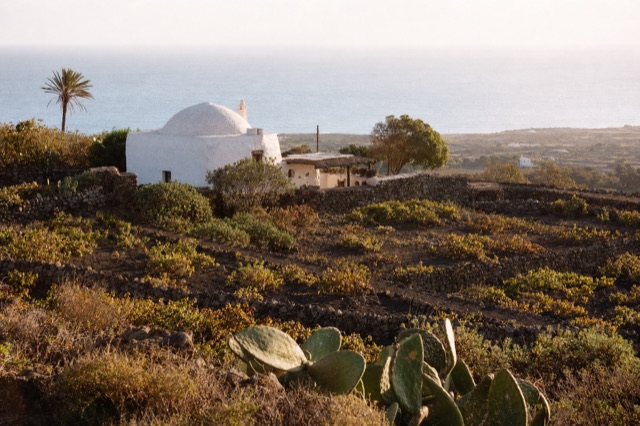A traditional white stone dammuso house on Pantelleria with a domed roof, surrounded by capers and grapevines, late afternoon golden light