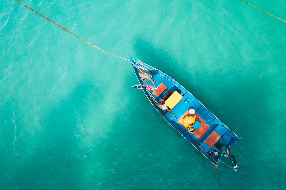 Turquoise water and green coastline