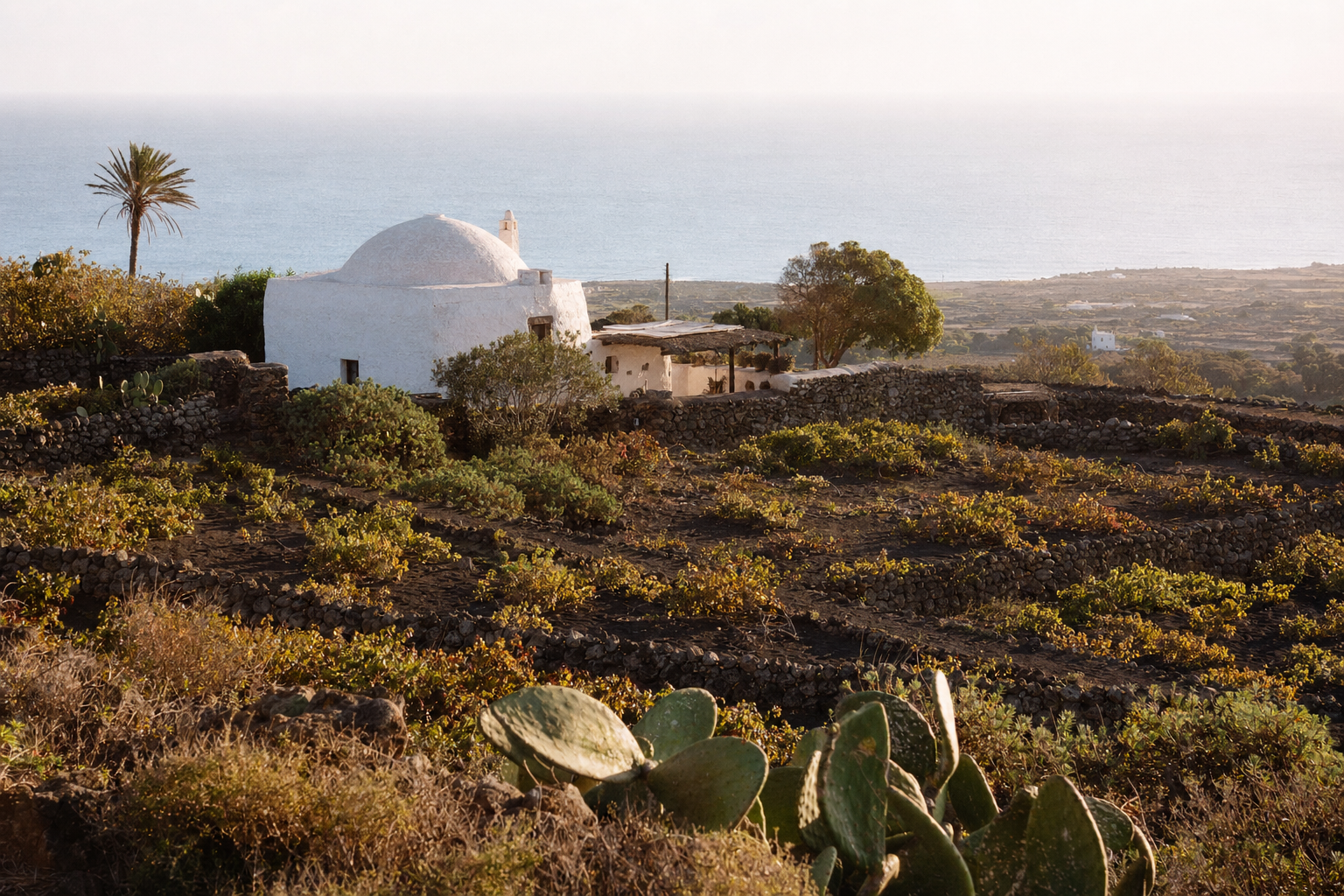 A traditional white stone dammuso house on Pantelleria with a domed roof, surrounded by capers and grapevines, late afternoon golden light